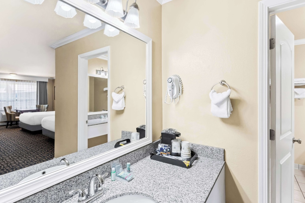 Standard Room, 1 King Bed, Non Smoking, Refrigerator & Microwave (Pet Friendly) photo 3