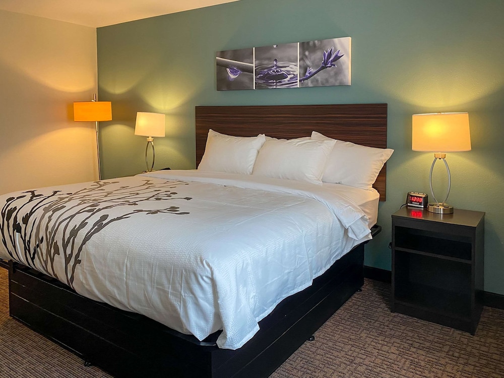 Standard Room, 1 King Bed, Non Smoking - Photo 4