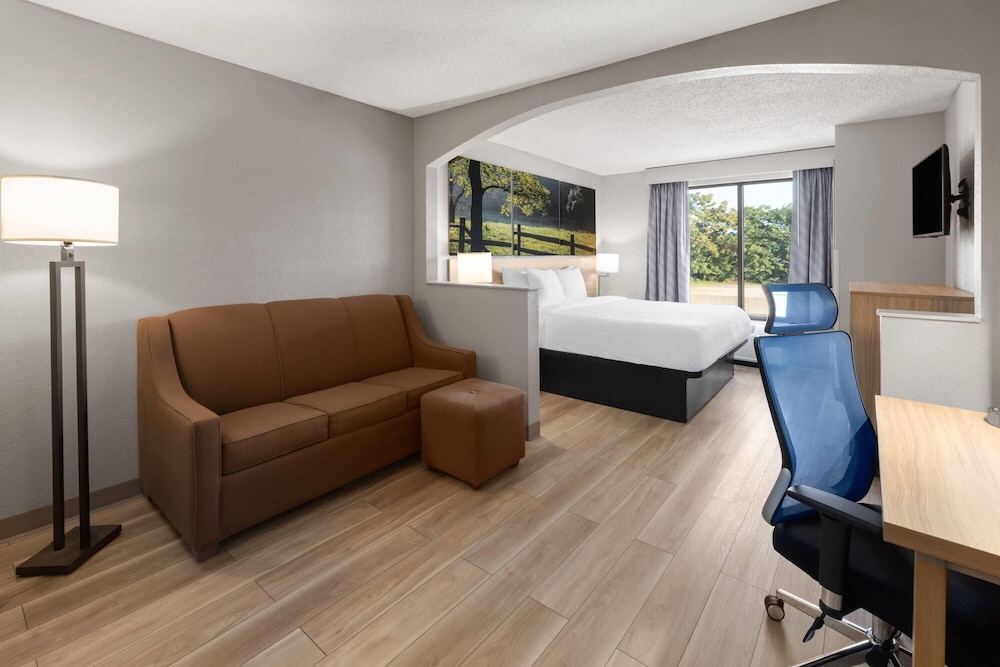 Studio Suite, 1 King Bed, Non Smoking - Photo 3