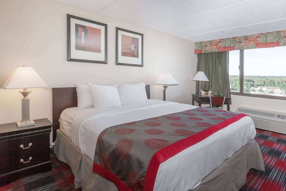 Efficiency, Room, 1 King Bed, Non Smoking photo 1