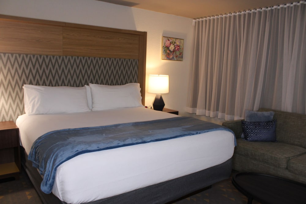 Studio Suite, 1 King Bed with Sofa bed, Non Smoking photo 1