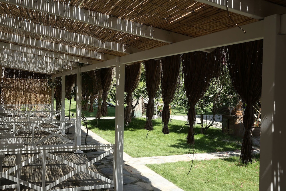 Standard Quadruple Room, Multiple Beds, Patio photo 3
