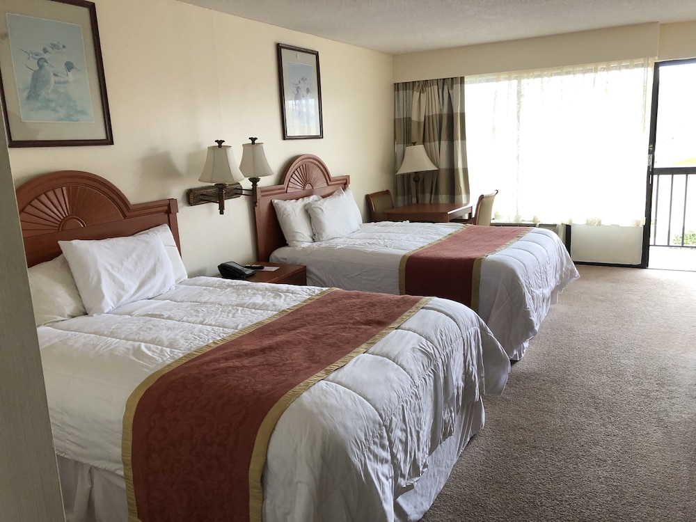 Standard Room, 2 Double Beds photo 3