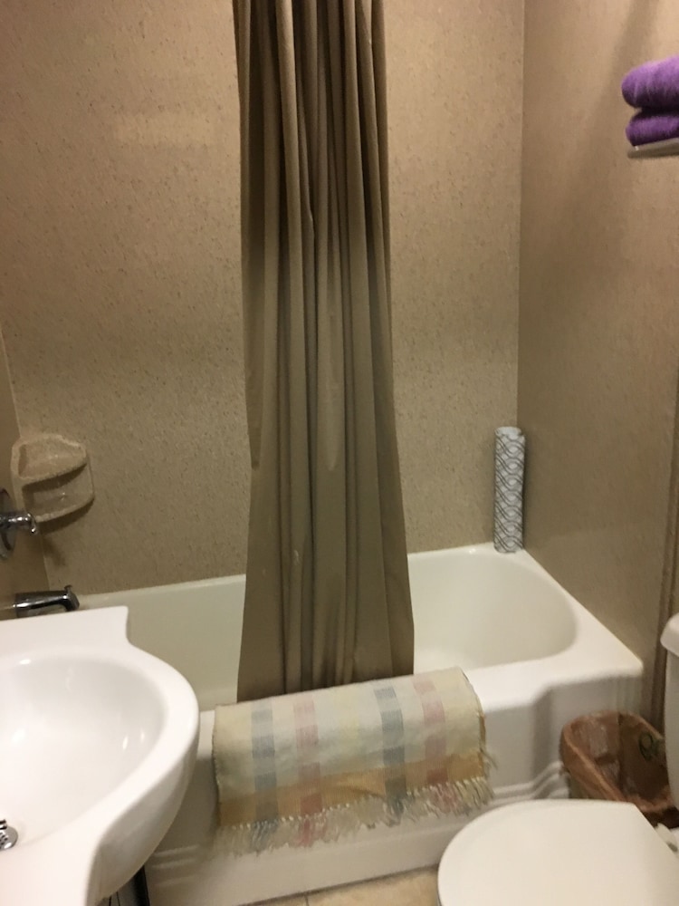 Basic Room, 2 Queen Beds photo 2
