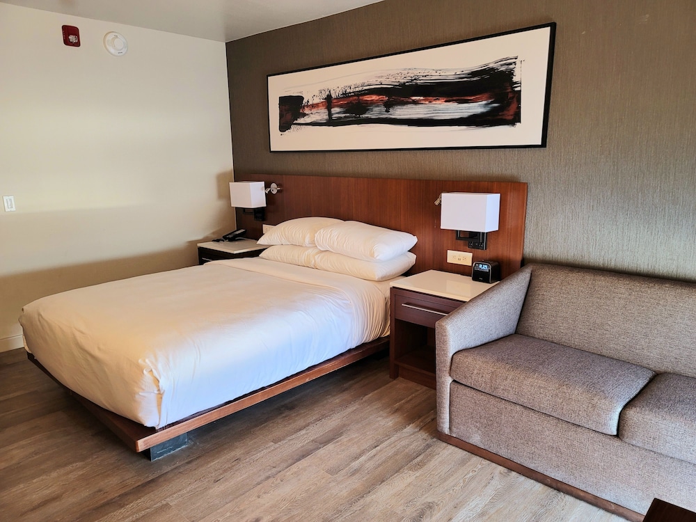 Executive Room, 1 King Bed - Photo 4