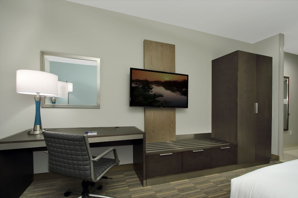 Standard Room, 1 King Bed, Accessible (Communications) photo 1
