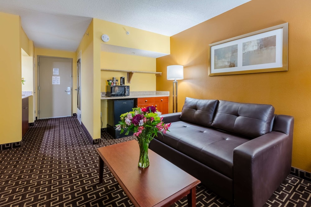 Suite, 1 King Bed, Non Smoking, Jetted Tub (with Sofabed) - Photo 2