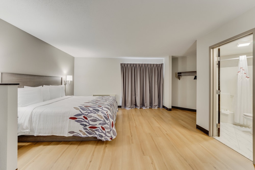 Standard Suite, 1 King Bed with Sofa bed, Non Smoking - Photo 4
