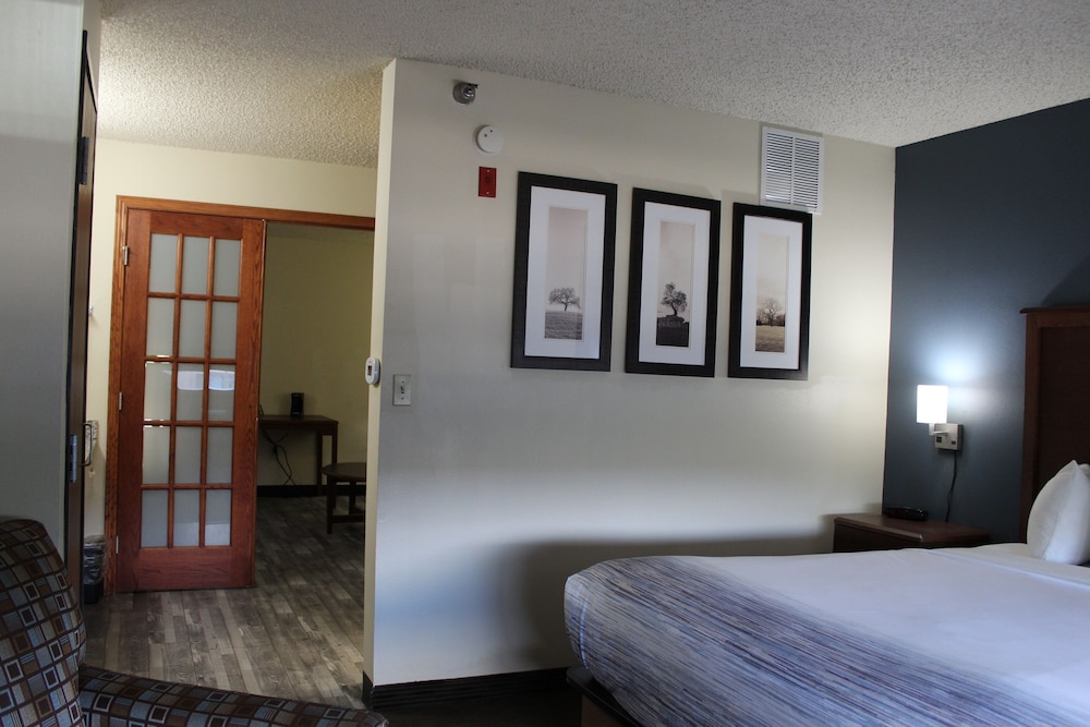 Deluxe Studio Suite, 1 King Bed, Non Smoking - Photo 1