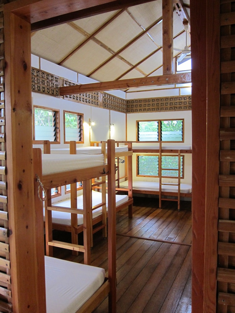 Shared Dormitory photo 2