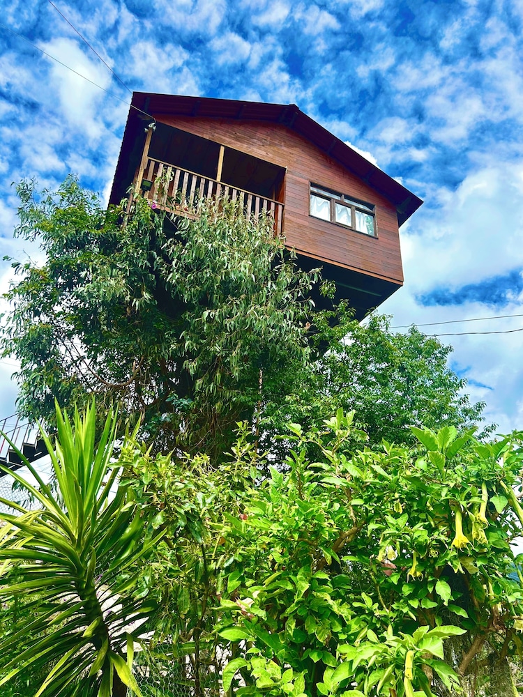 Panoramic Tree House, Mountain View