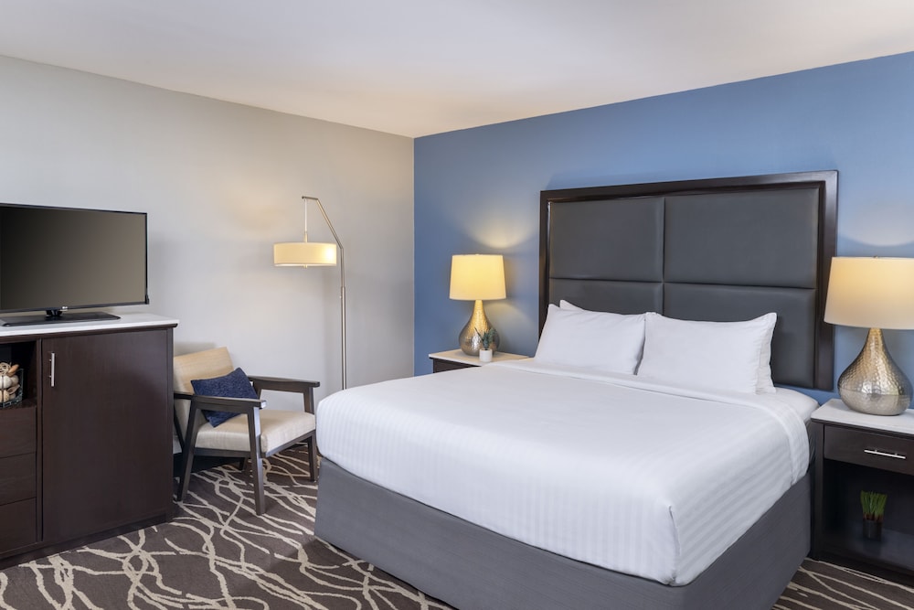 Room, 1 King Bed, Accessible (CLASSIC ADA KING) - Photo 1