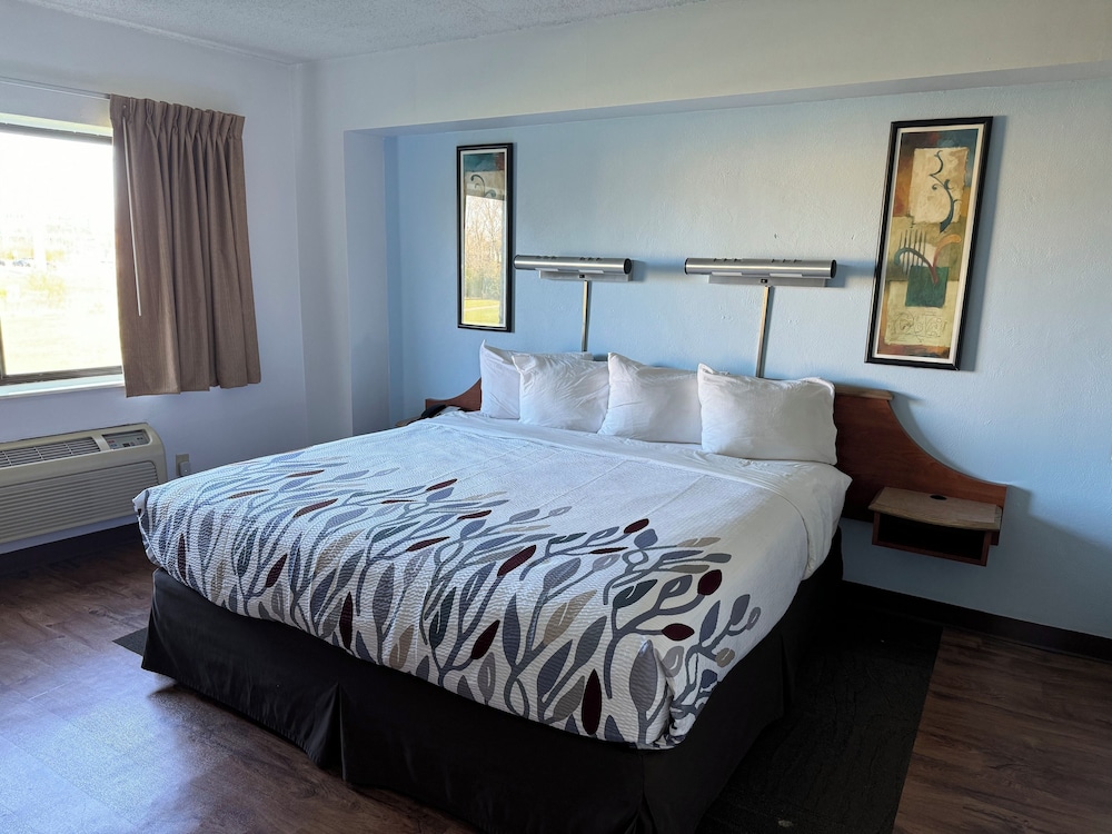Standard Room, 1 King Bed, Non Smoking