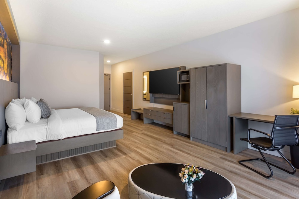 Standard Room, 1 King Bed, Non Smoking photo 2