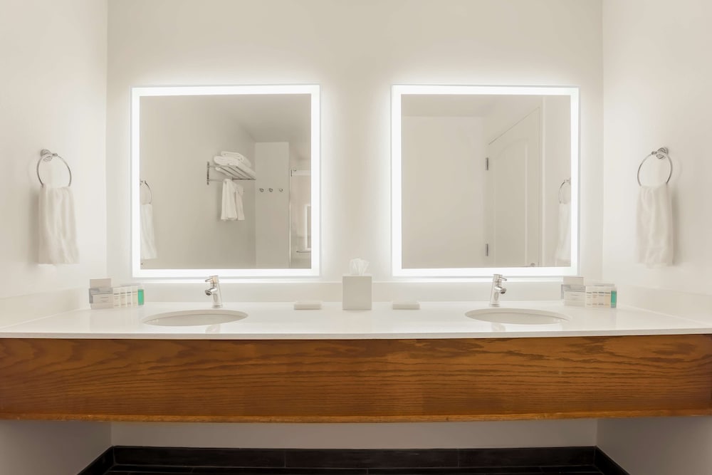 Suite, 1 Bedroom thumbnail 6