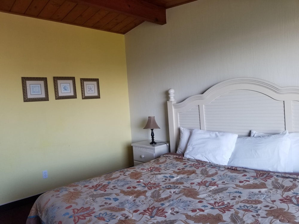 Economy Single Room photo 1