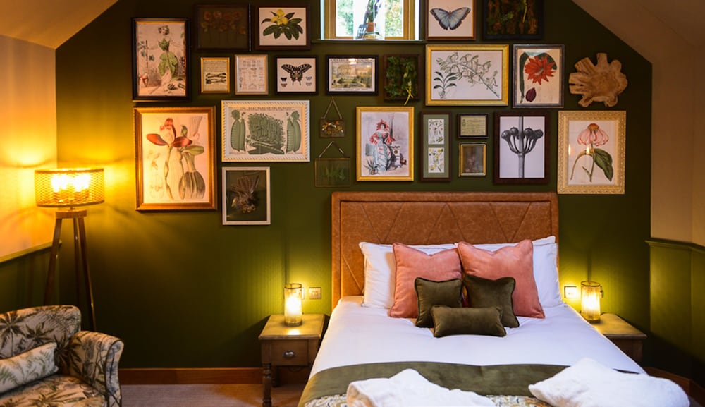 Superior Room (King Bed, Bunny Guinness) photo 1
