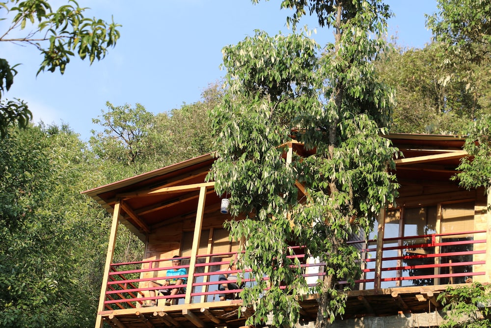 Tree House photo 1