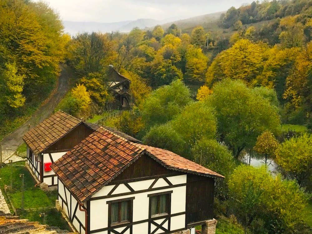 Comfort Cabin, Multiple Beds, Balcony, Lake View photo 2