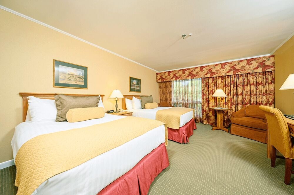 Standard Room, 2 Double Beds - Photo 1