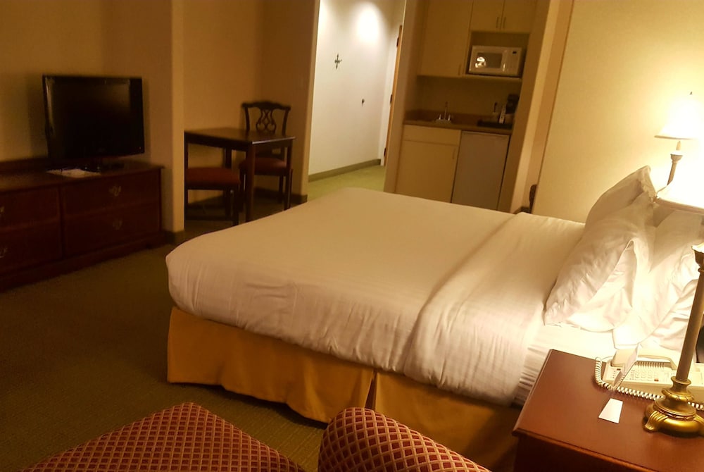 Room, 1 King Bed, Non Smoking - Photo 1