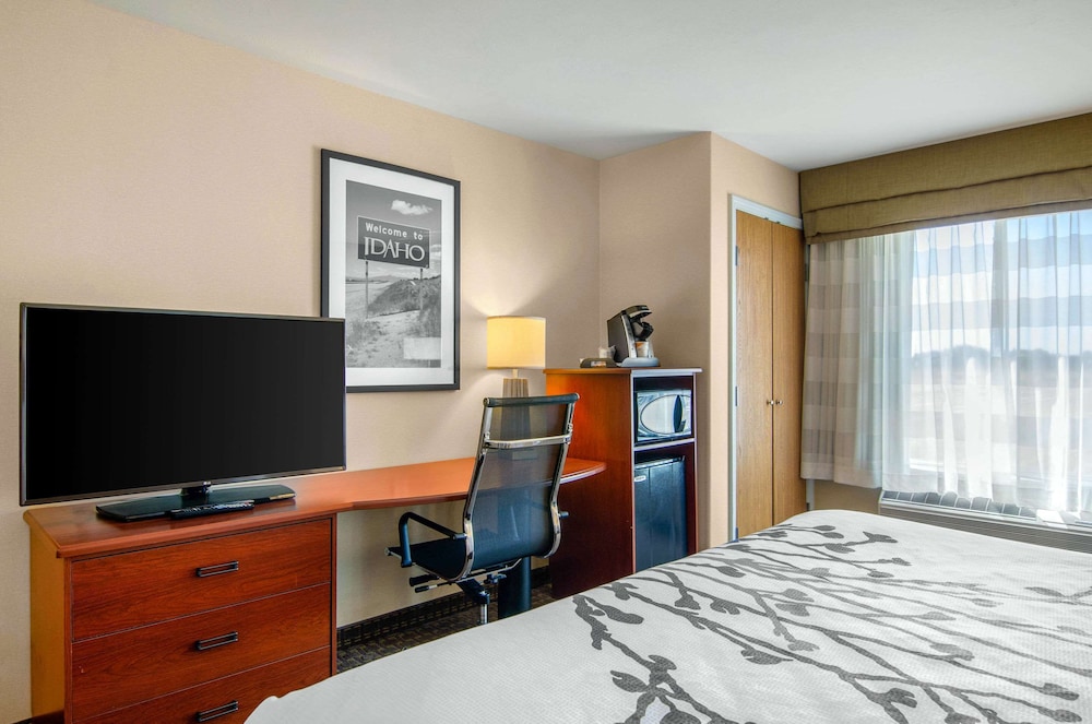 Suite, 1 King Bed With Sofa Bed, Non Smoking photo 2