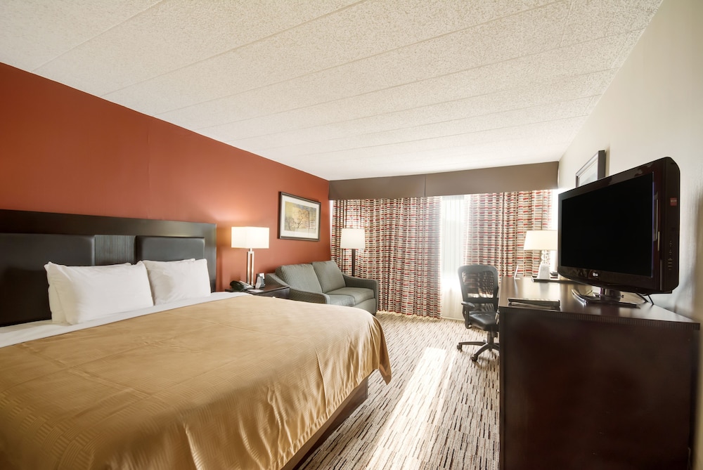 Standard Single Room, 1 King Bed with Sofa bed, Non Smoking - Photo 1