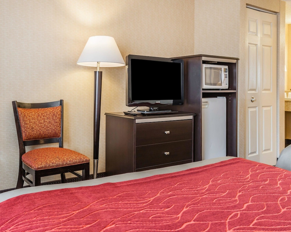 Room, 1 Queen Bed, Accessible, Non Smoking (Hearing) - Photo 3
