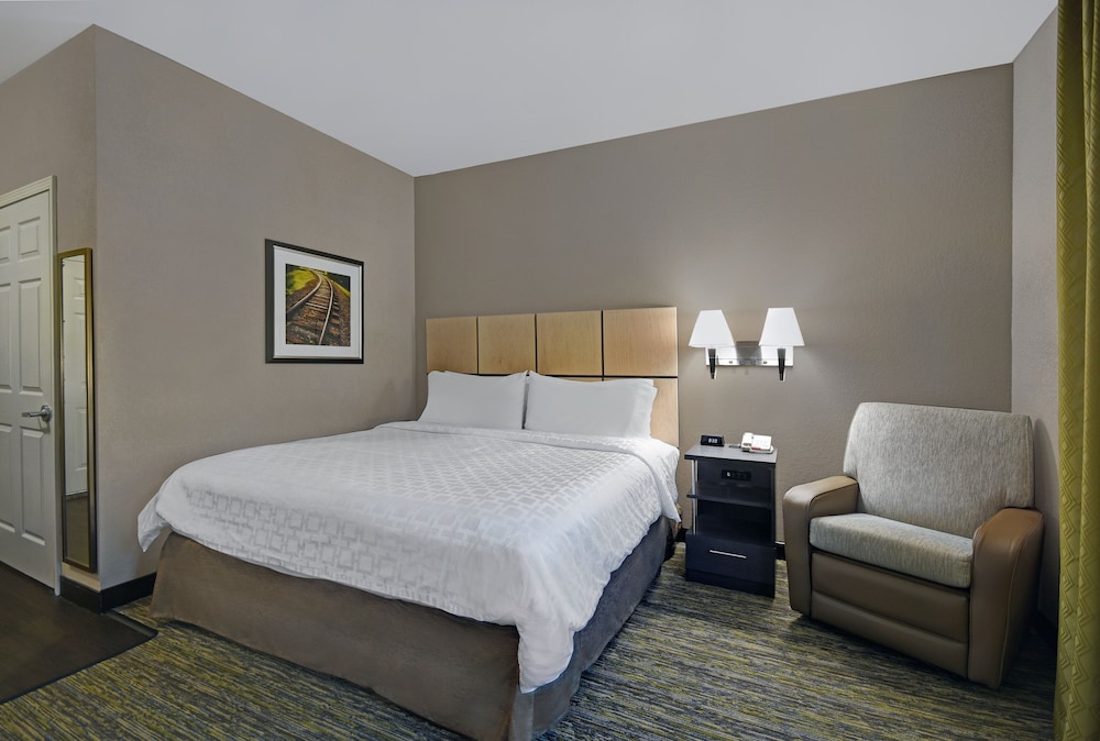 Studio Suite, 1 King Bed (Full Kitchen) - Photo 2