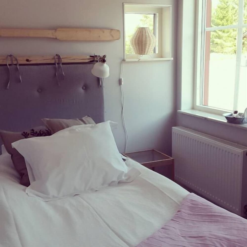 Single Room photo 1