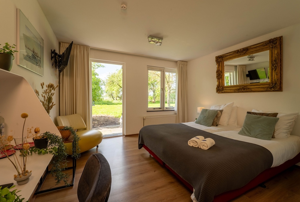 Comfort Double Room, Courtyard View, Courtyard Area