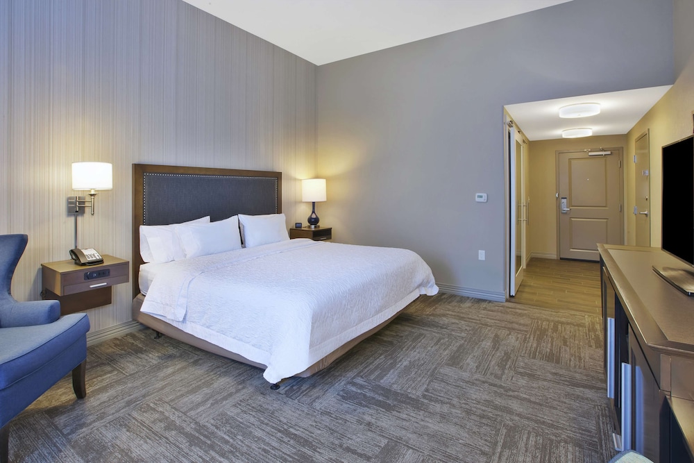 Room, 1 King Bed, Accessible, Non Smoking (Rollin Shower) photo 3
