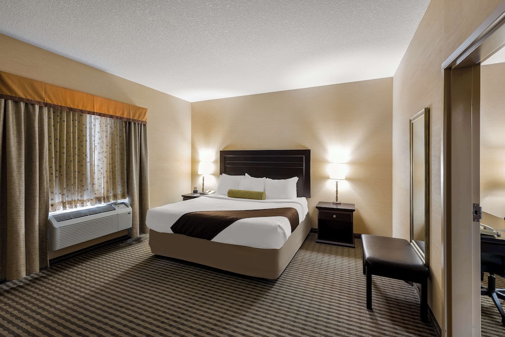 Room, 1 King Bed, Non Smoking, Refrigerator & Microwave (with Sofabed)