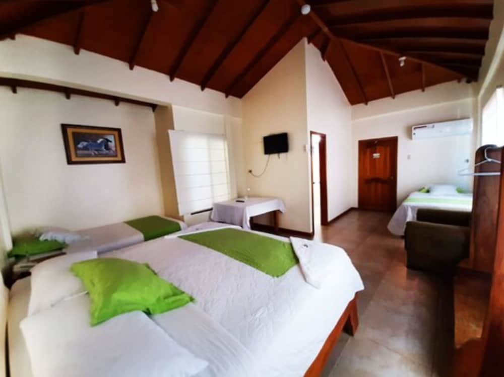 Triple Room photo 1