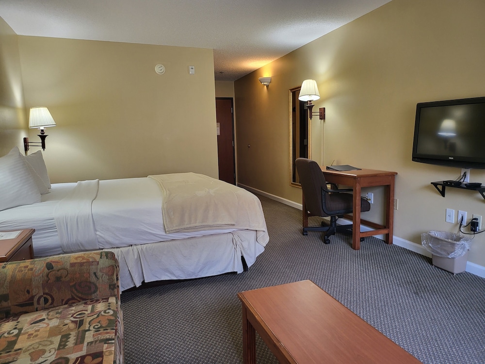 Business Single Room, 1 King Bed with Sofa bed photo 3