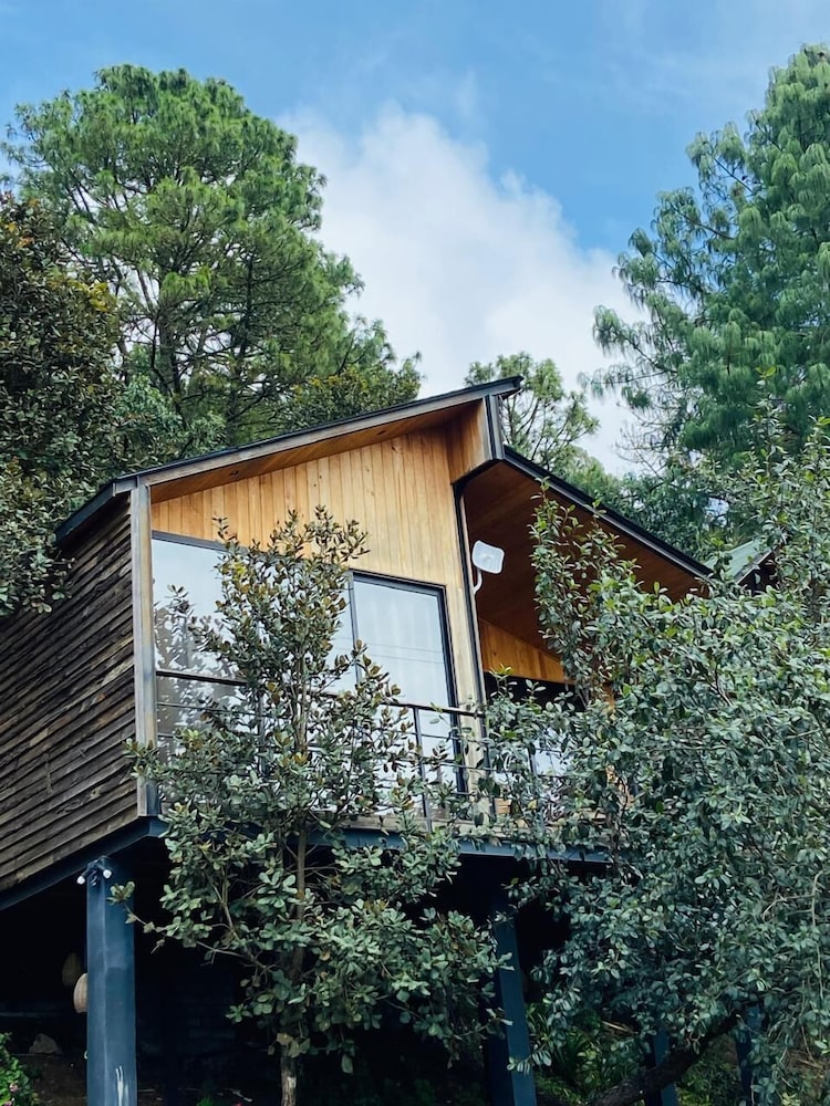 Family Cabin