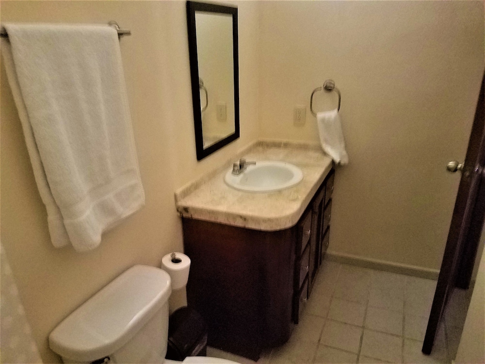 Standard Condo, 1 King Bed with Sofa bed, Kitchen, Ocean View photo 3