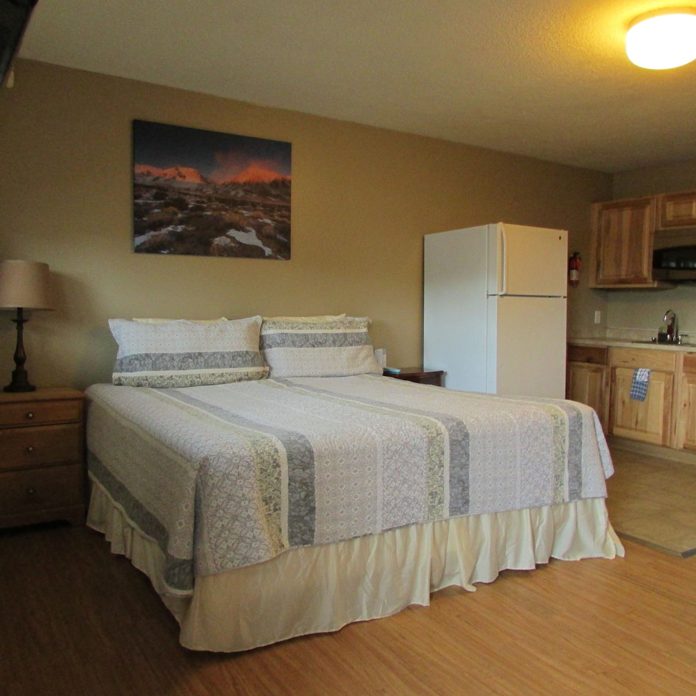 Studio Suite, 1 Queen Bed photo 3