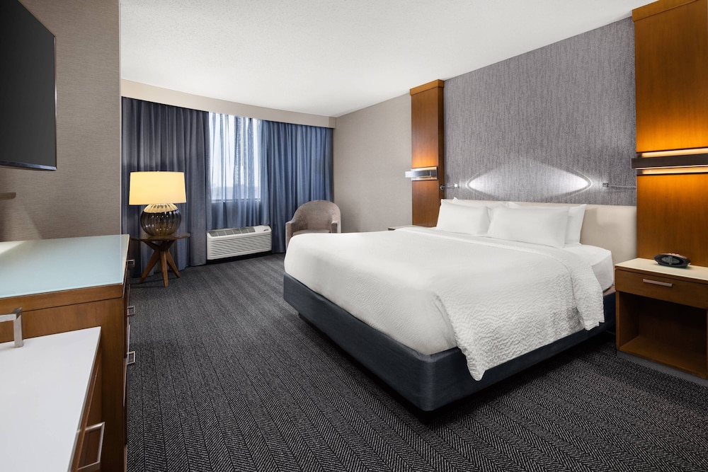 Suite, 1 Bedroom photo 3