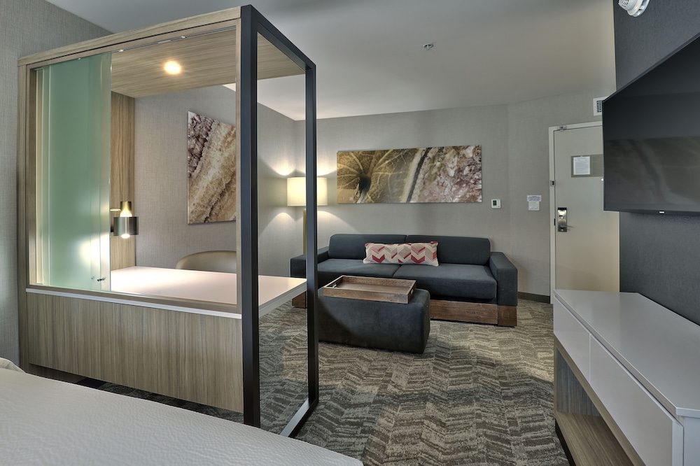 Suite, 1 King Bed, Mountain View - Photo 2