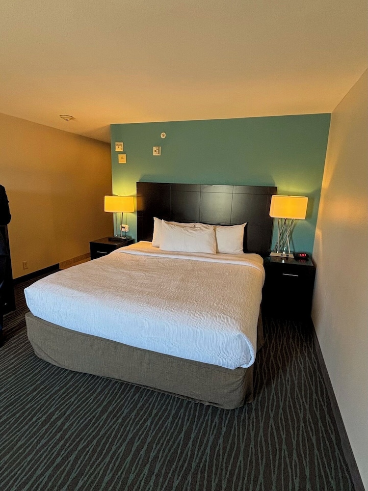 Room, 1 King Bed, Non Smoking (Walk-In Shower) - Photo 2