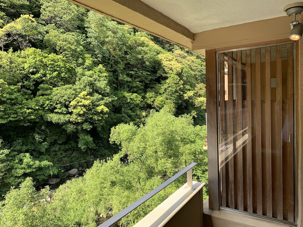 Japanese Western Style Room with partially open-aired bath