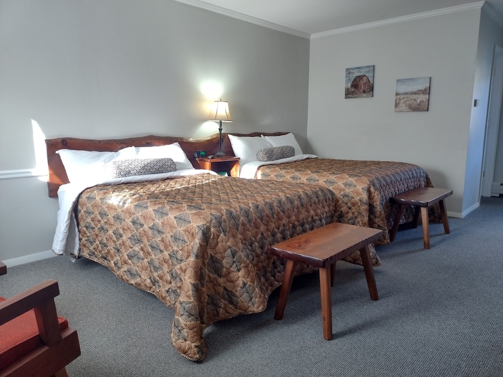 Standard Room, Mountain View