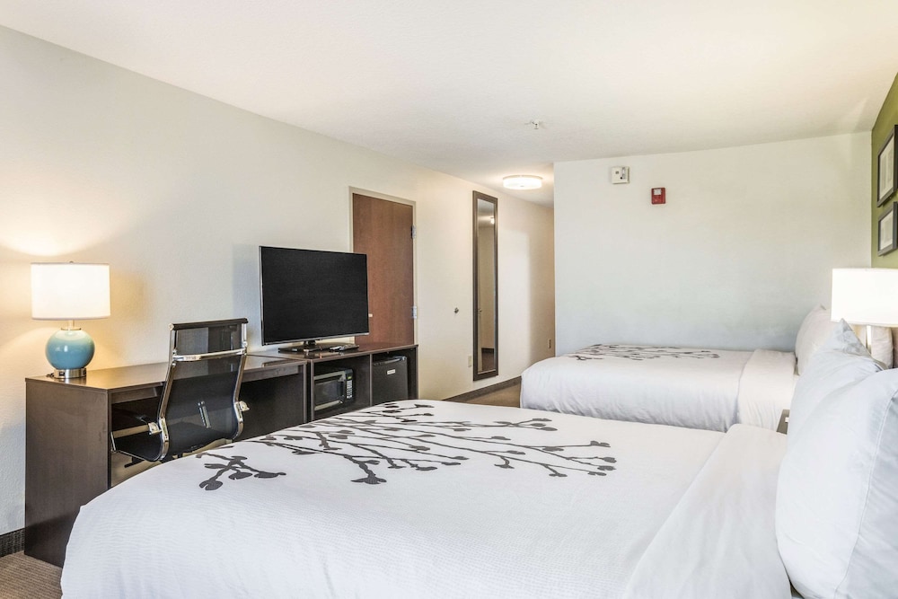 Room, 2 Queen Beds, Accessible, Non Smoking photo 3