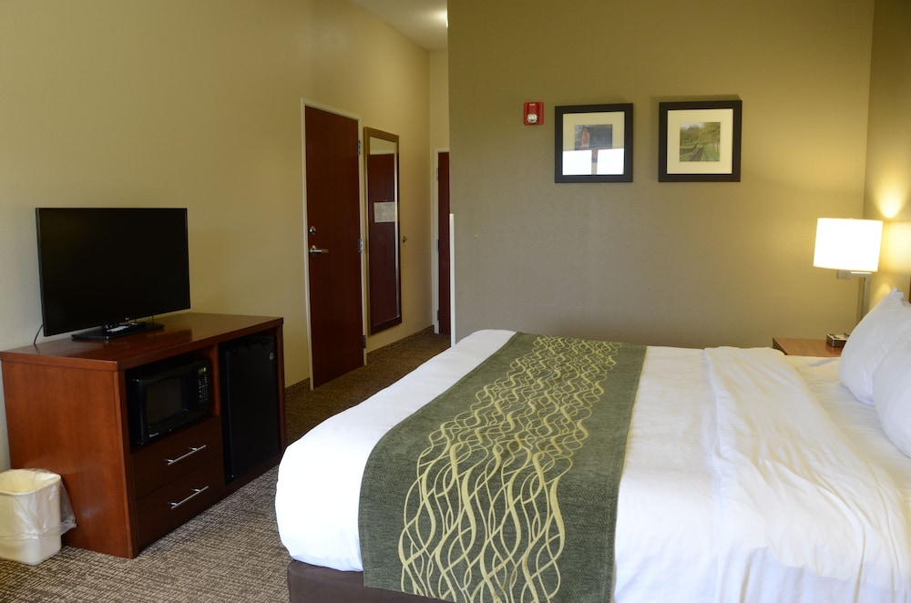 Suite, 1 King Bed with Sofa bed, Non Smoking - Photo 5
