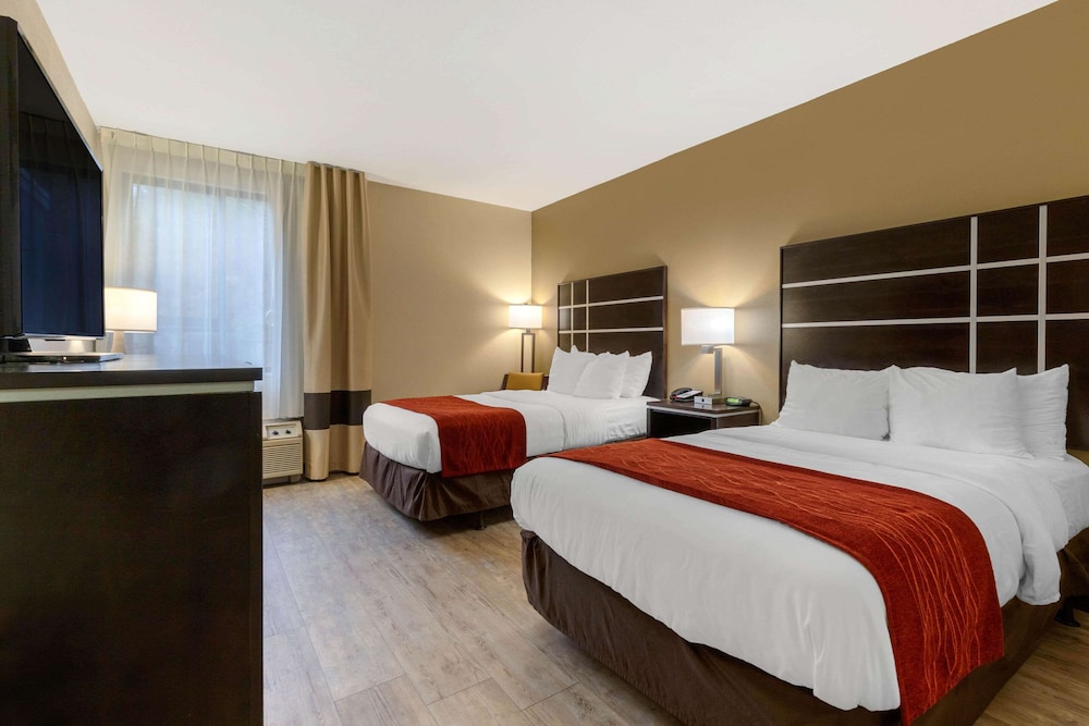 Comfort Inn North of Asheville, Billede 9