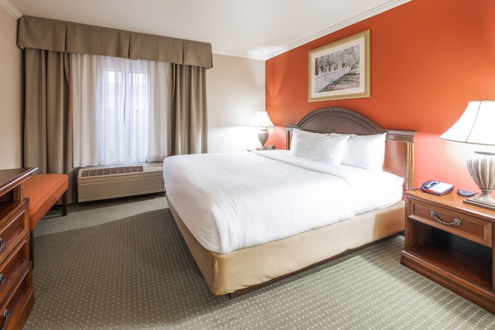 Room, 1 King Bed, Non Smoking photo 2
