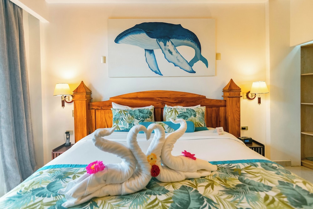 Suite Ballena - Photo 2
