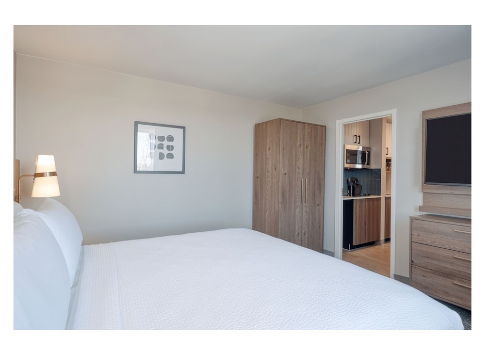 Suite, 1 King Bed, Kitchen (Dining and Kitchen Areas) photo 2