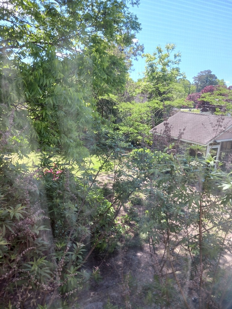 Willie's Hideaway Suite photo 2